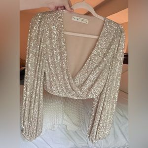 Long Sleeves Silver Sequin Crop Top - Lizard Thicket - Size Small